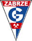 Górnik Zabrze SSA -  oficjalna strona
